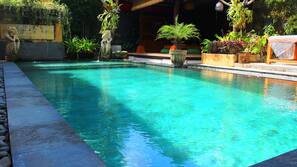 Outdoor pool, a natural pool
