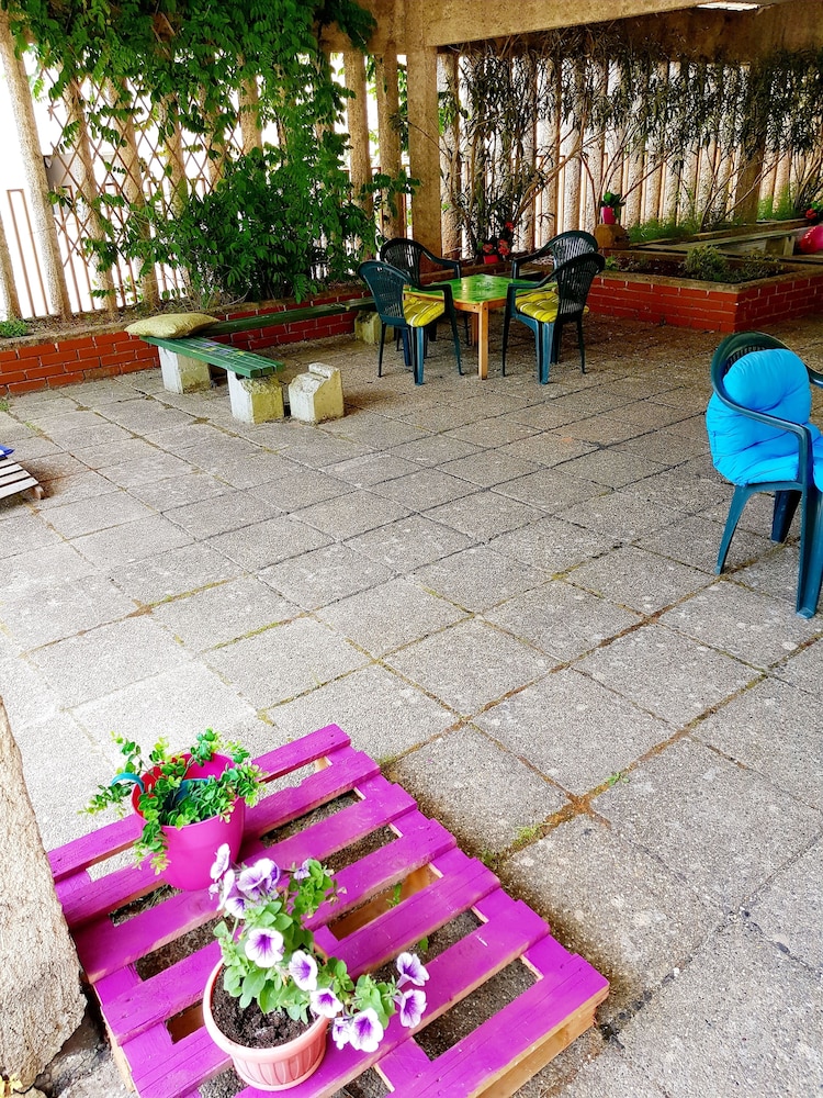 Foto - Crazy House Hostel