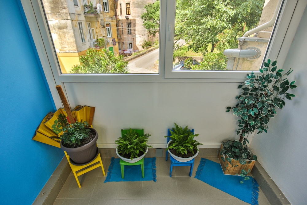 Foto - Crazy House Hostel