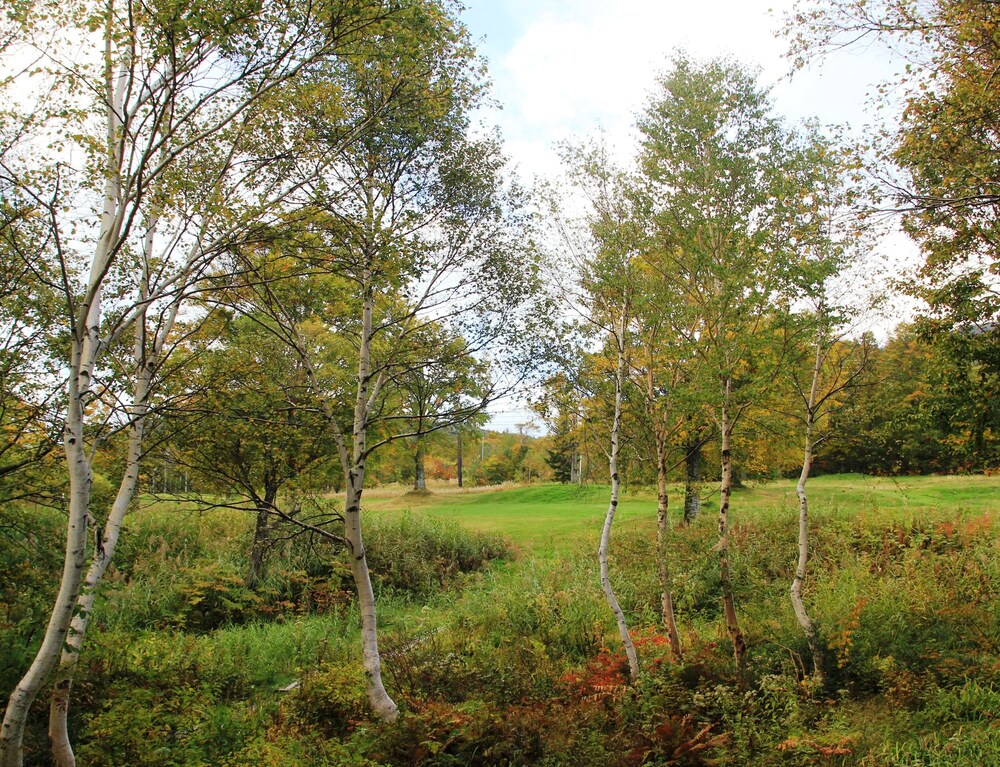 Chalet Christiania Yamanouchi Jpn Best Price Guarantee - 