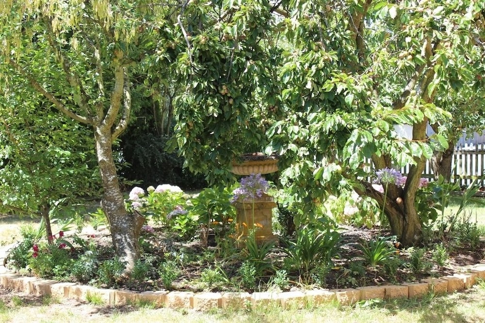Bellamona