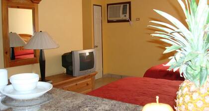 El Ejecutivo Aparthotel
