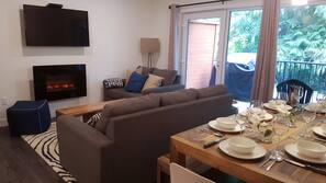 TV, fireplace, books