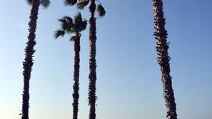Am Strand
