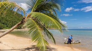 Trên bãi biển