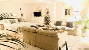 Flat-screen TV, Netflix, DVD player, books