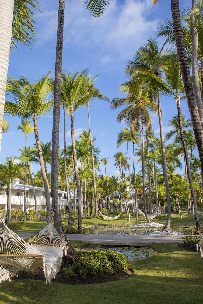 Melia Punta Cana Beach Wellness Inclusive - Adults only in Punta Cana ...