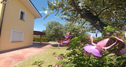 Villa Aurelio