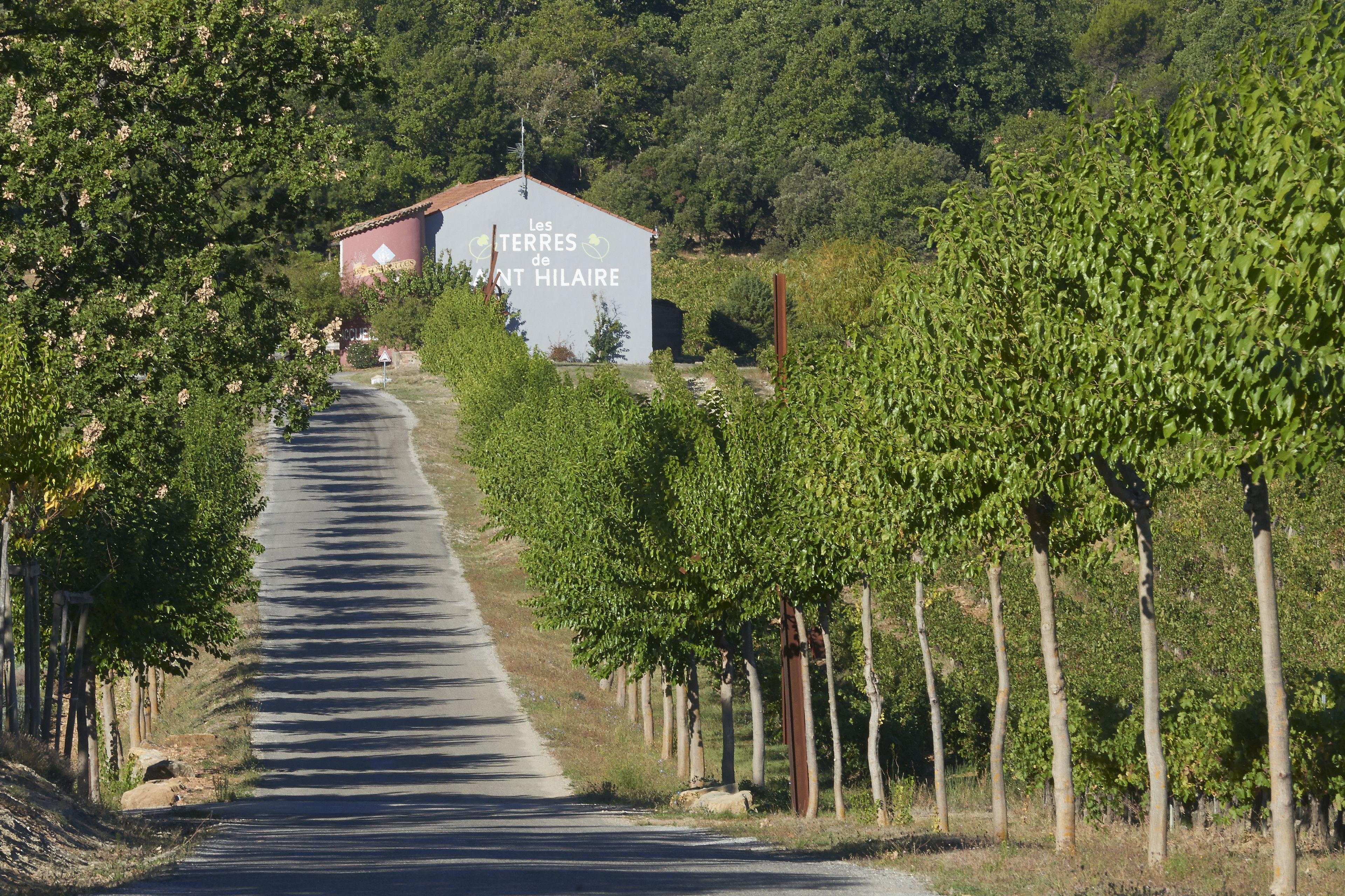 Les Terres de Saint Hilaire in Ollières, France