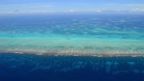 On the beach, scuba diving, snorkeling, kayaking