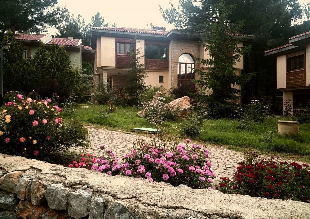 Property grounds, Pendosis Tatil Koyu