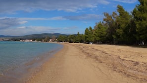 Plage à proximité, chaises longues, parasols, 15 bars de plage
