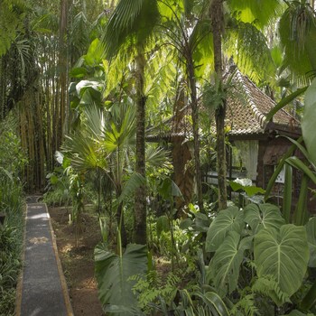 Citrus Tree Villas Jean Francois Deals Reviews Ubud Idn Wotif