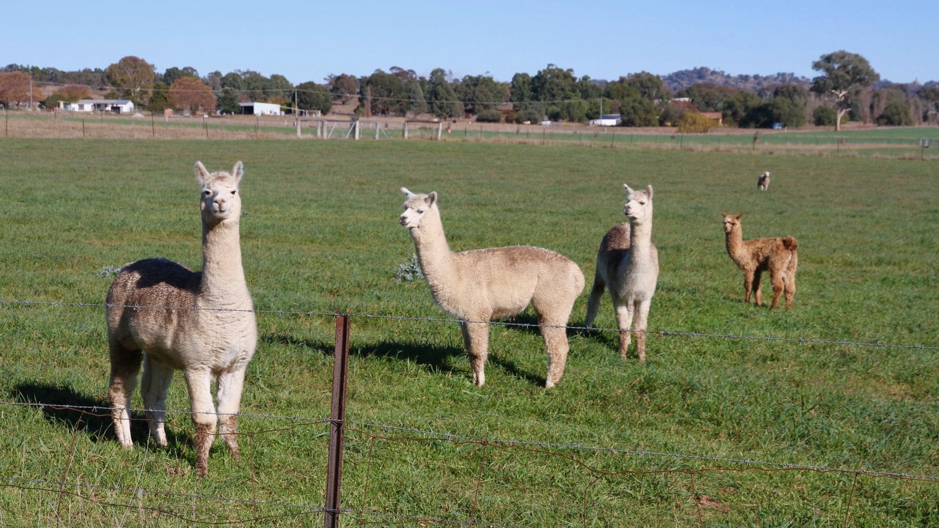 Spectacular Mudgee Valley Views