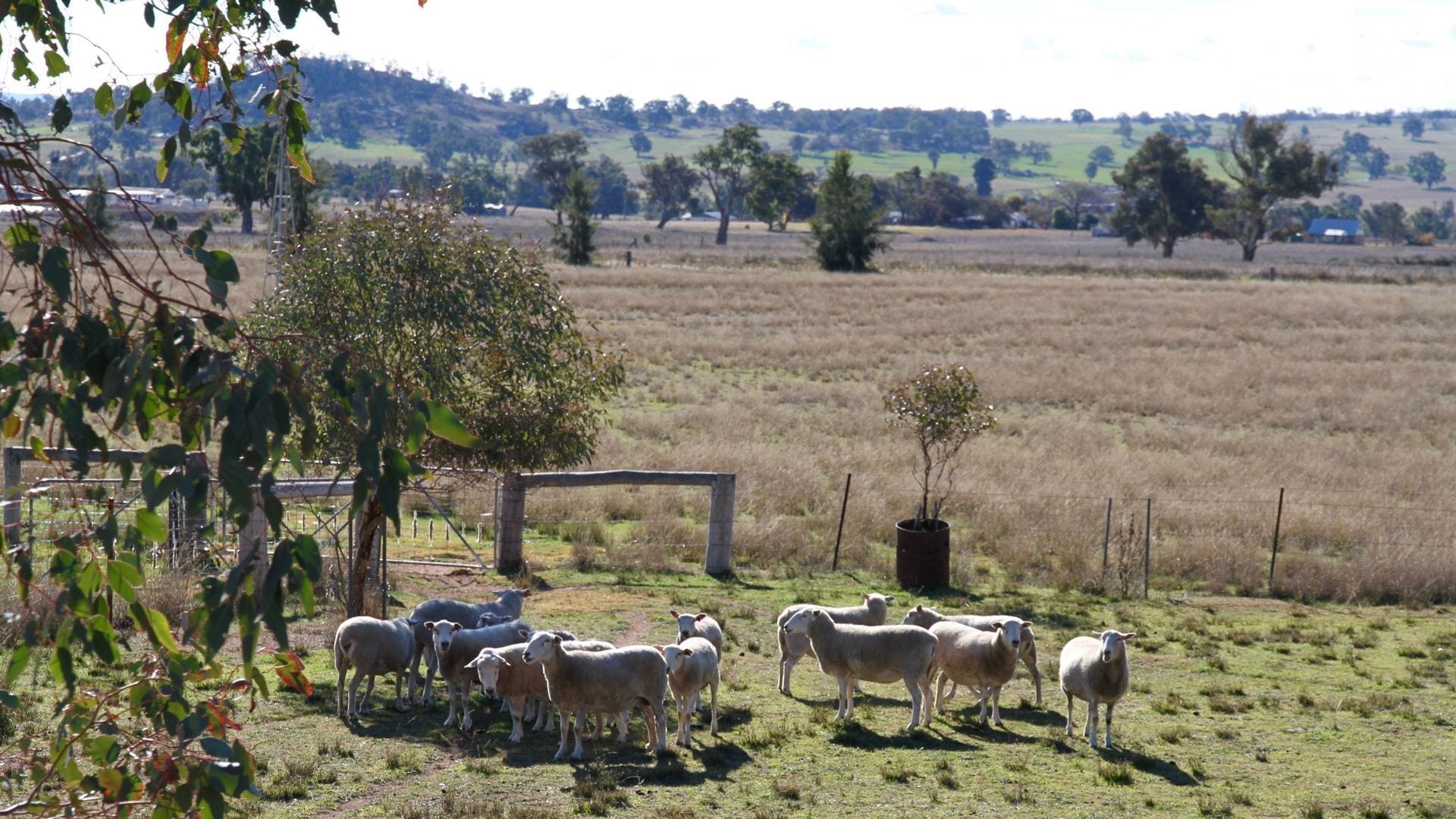 Spectacular Mudgee Valley Views