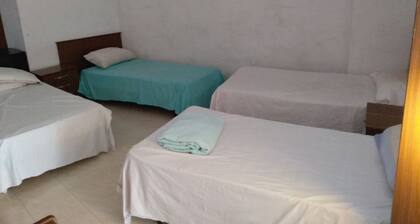 The Ark Hostel