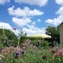House With 3 Bedrooms in Brélès, With Furnished Garden and Wifi - 3 km From the Beach