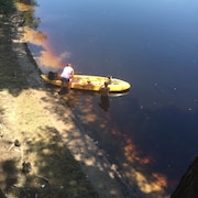 Cheap Hotels Near Lafayette Blue Springs State Park Fl Save More