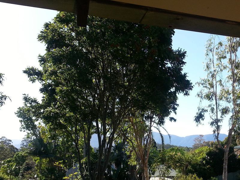 Casuarina Cottage - close to town - mountain views.