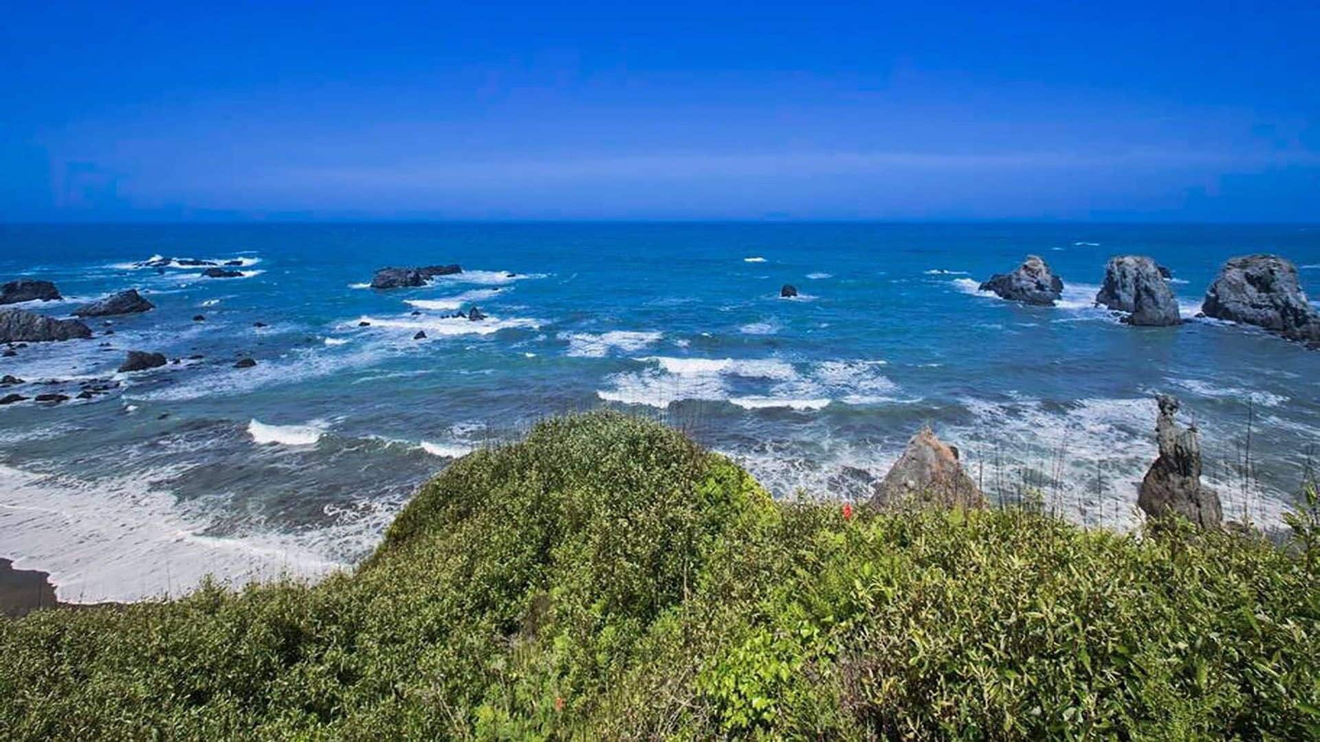 Pristine Mendocino Coast Oceanfront home with whitewater views and hot tub in Westport, United States