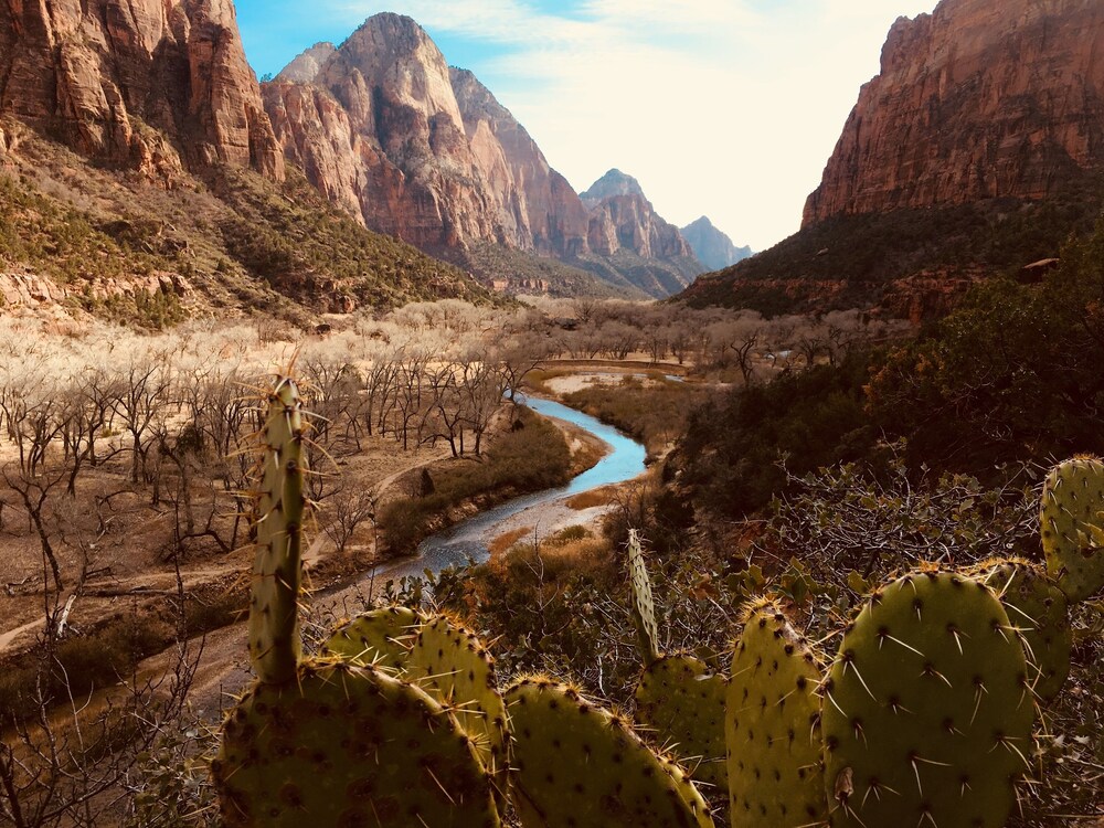 Brand New Cabin 400 From Zion National Park In Zion Ponderosa