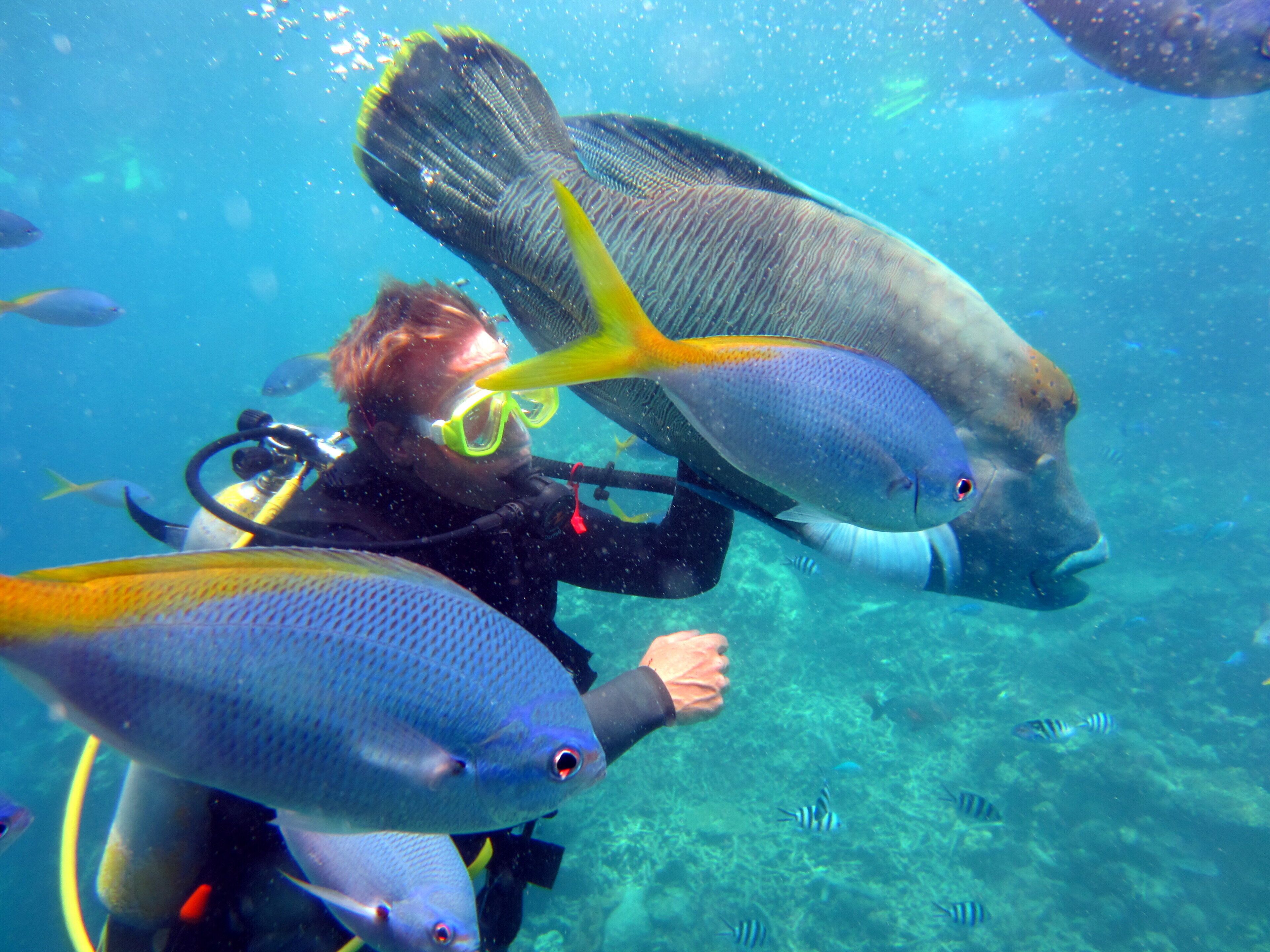 ❤️Great Location?Cairns City 3 mins