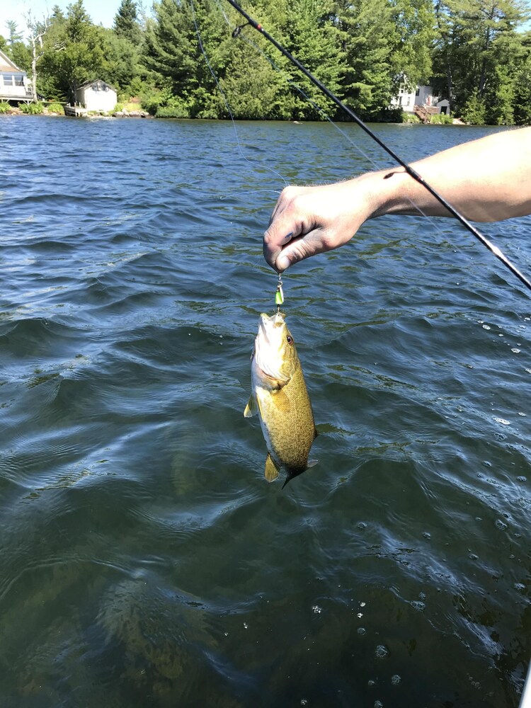 Four Season Getaway on Upper Cold Stream Pond (Big Narrows) 