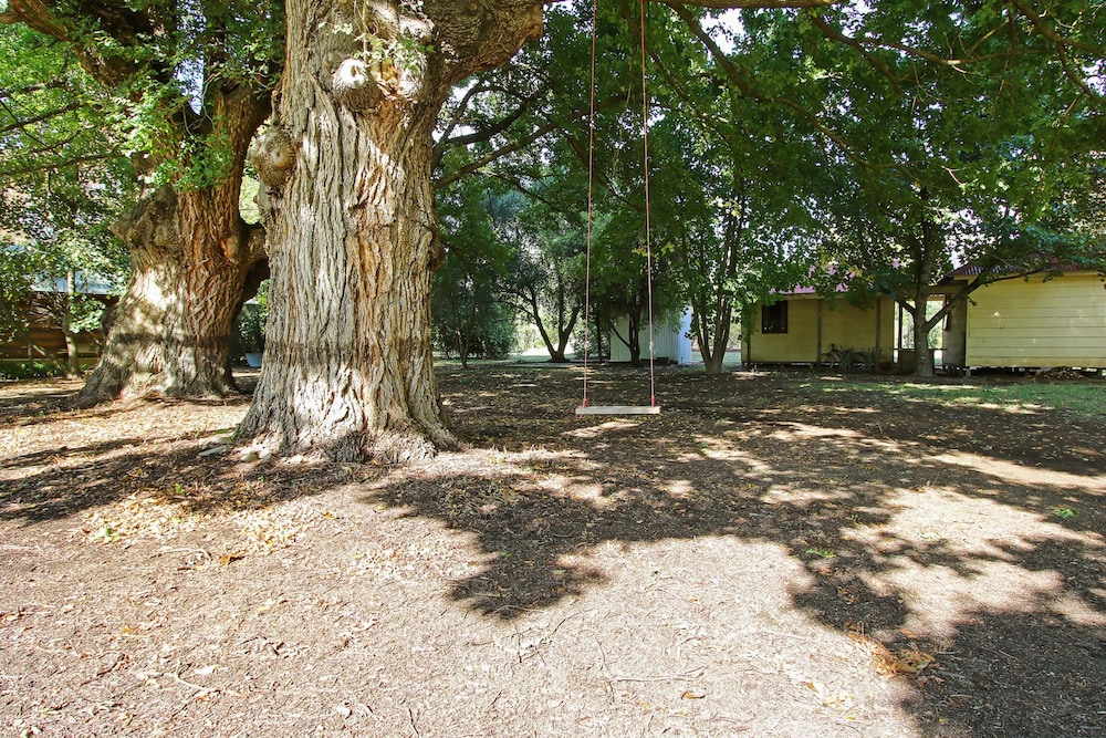 Porepunkah Elms