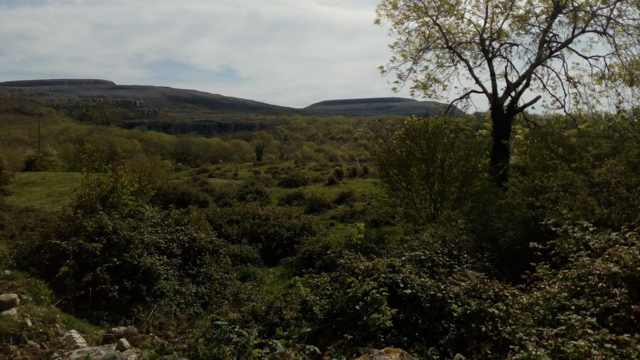 Burren Bushcraft - Camping & Adventures
