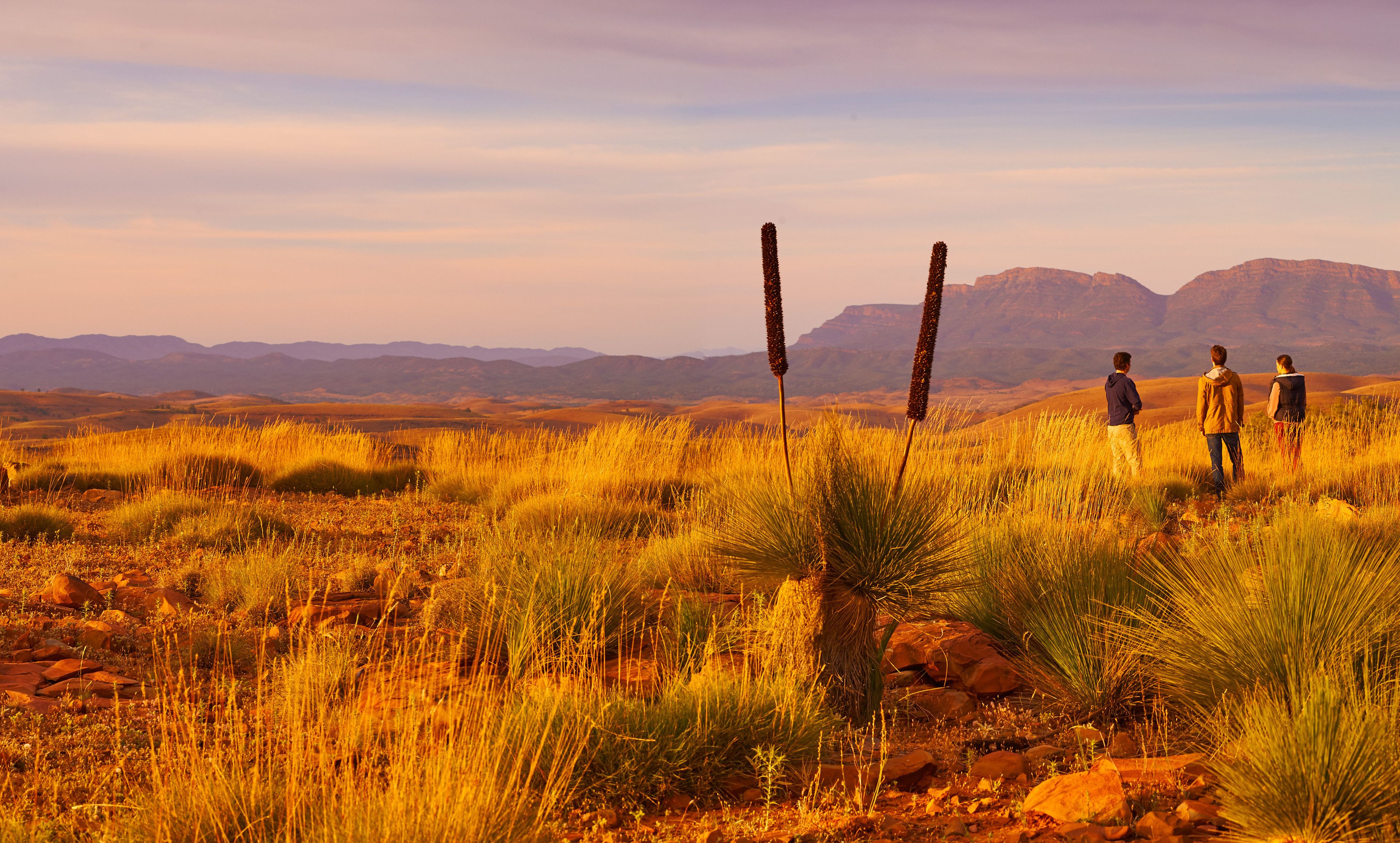 Skytrek Willow Springs Station