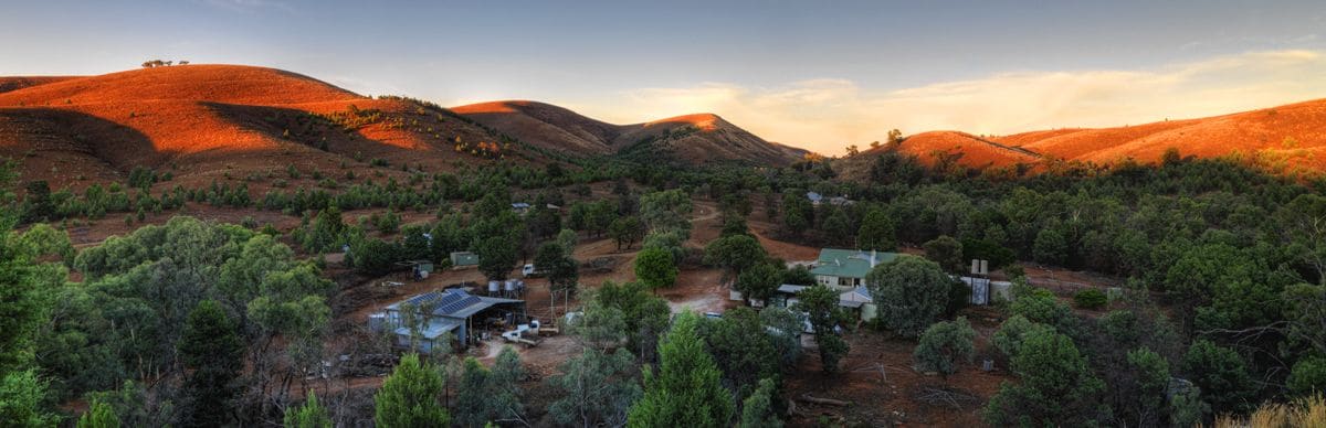 Skytrek Willow Springs Station