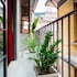 Little Anh House
