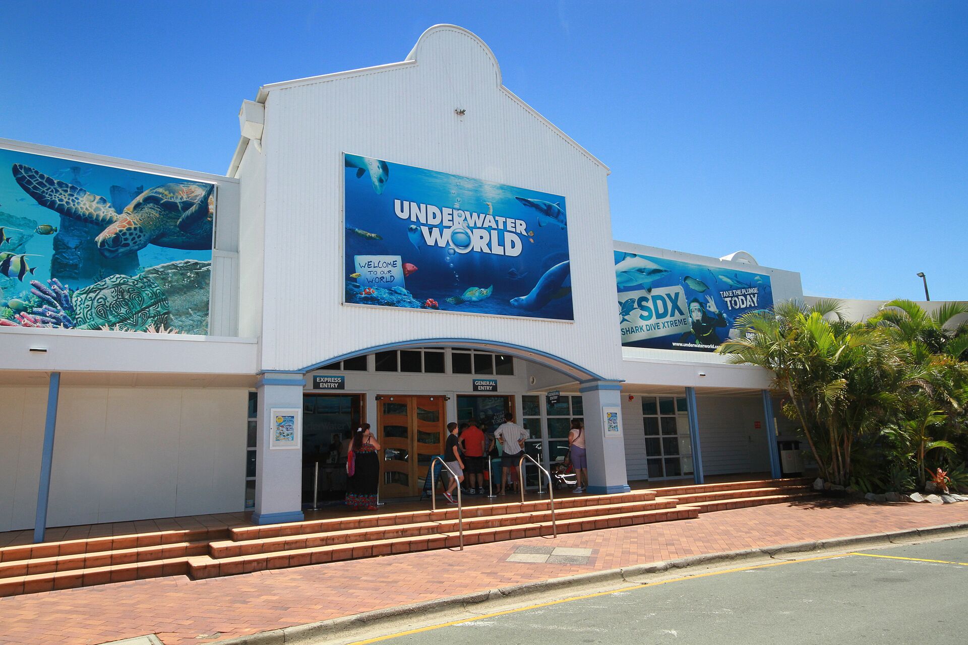 20 Steps to the Sand! - Beachfront Apartment! No Roads to Cross