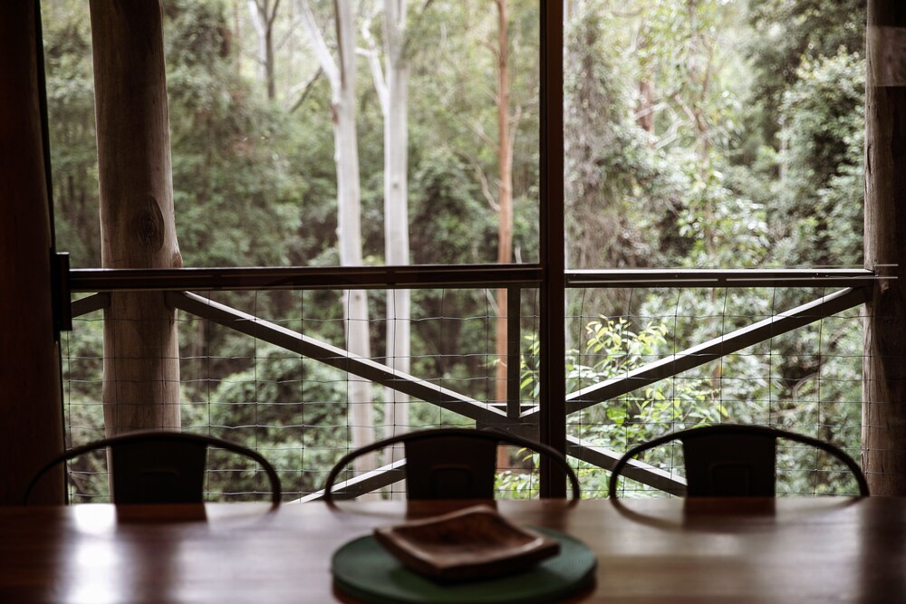 The Treehouse