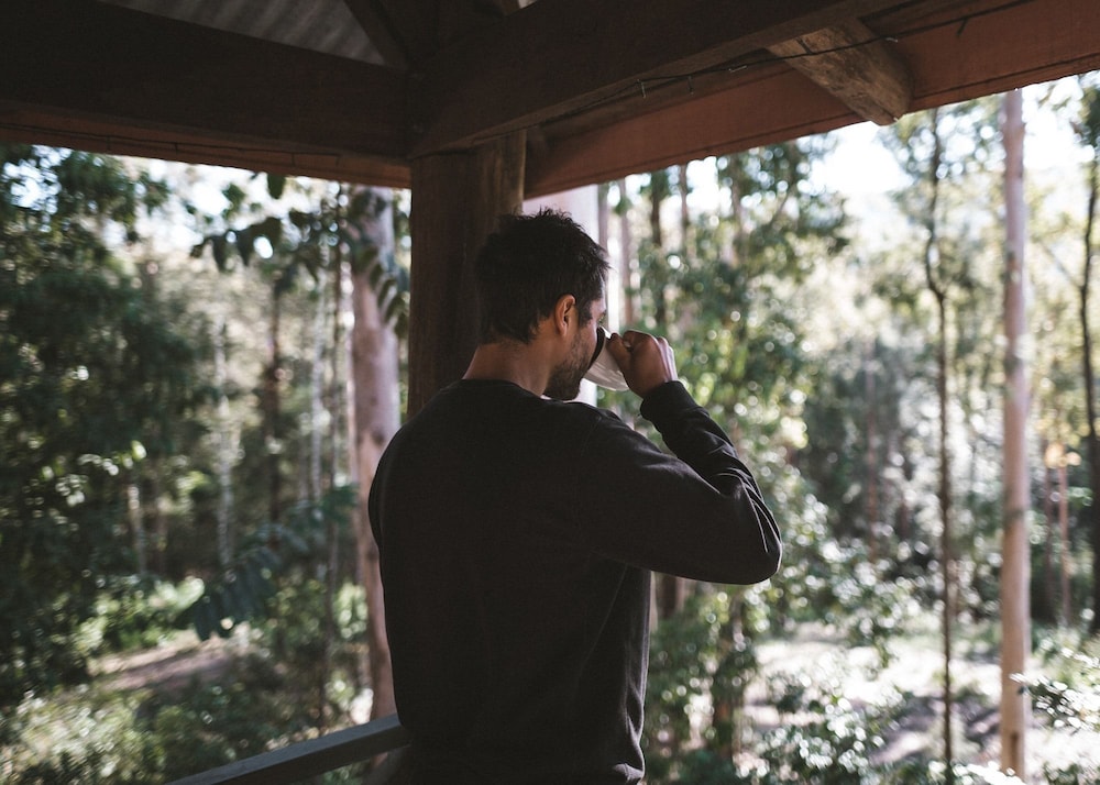 The Treehouse