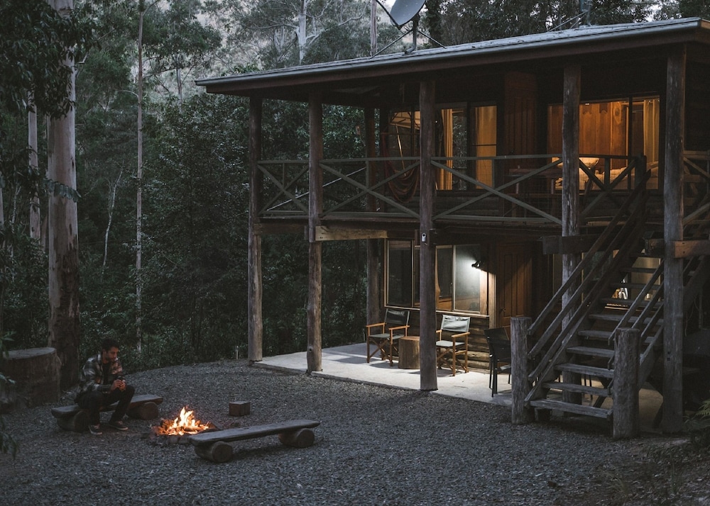 The Treehouse