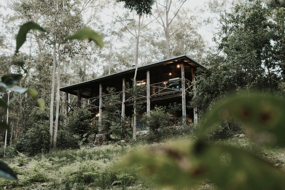 The Treehouse