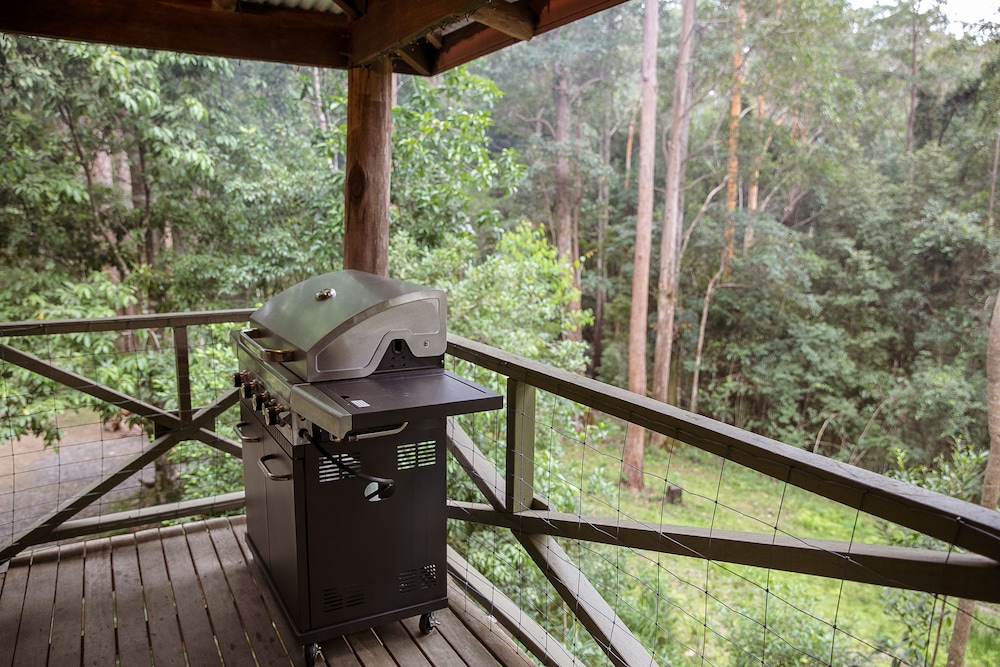 The Treehouse