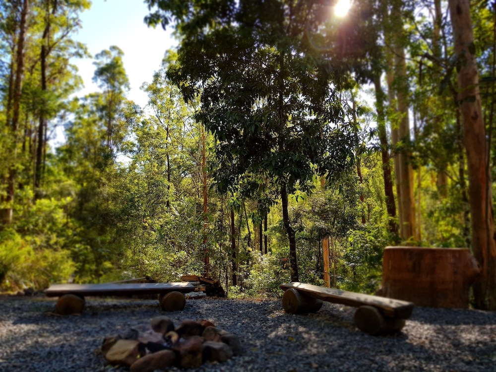 The Treehouse