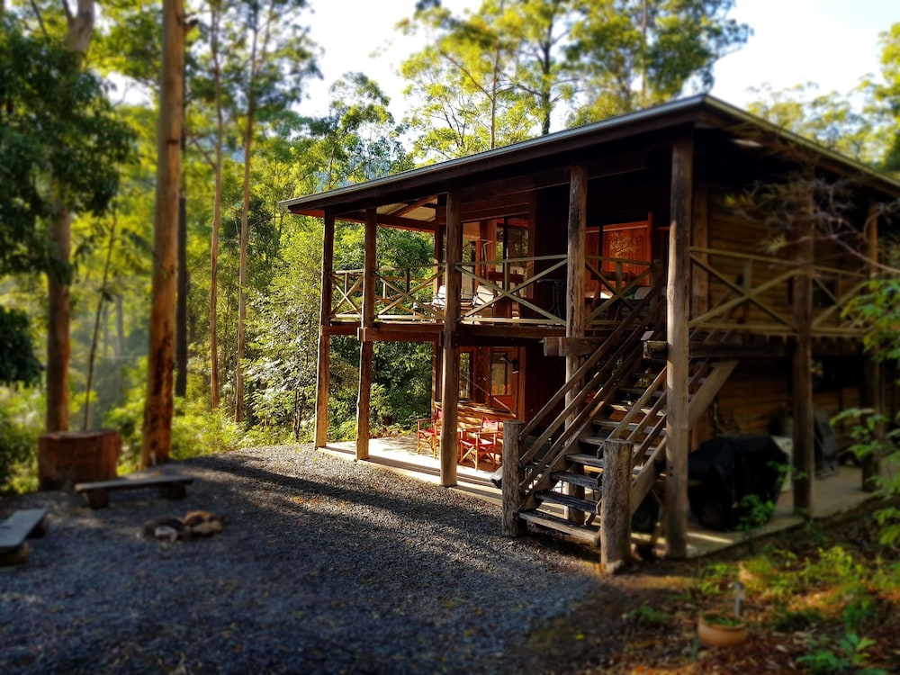 The Treehouse