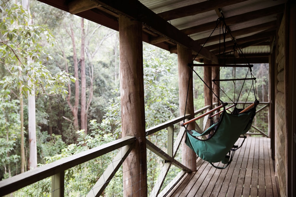 The Treehouse