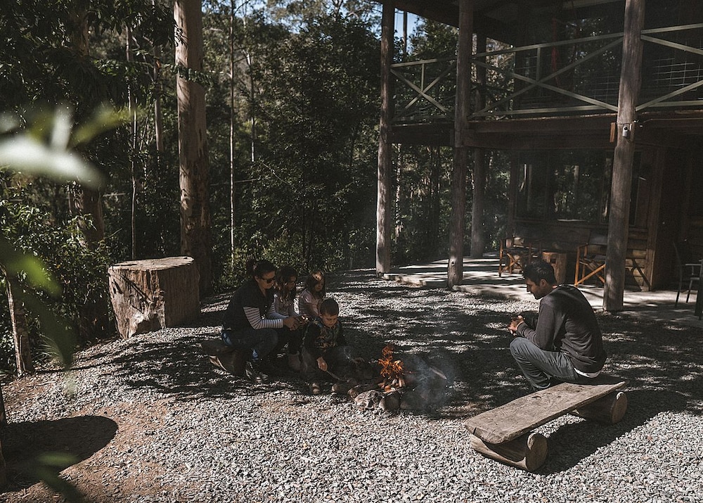 The Treehouse