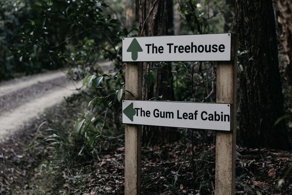 The Treehouse