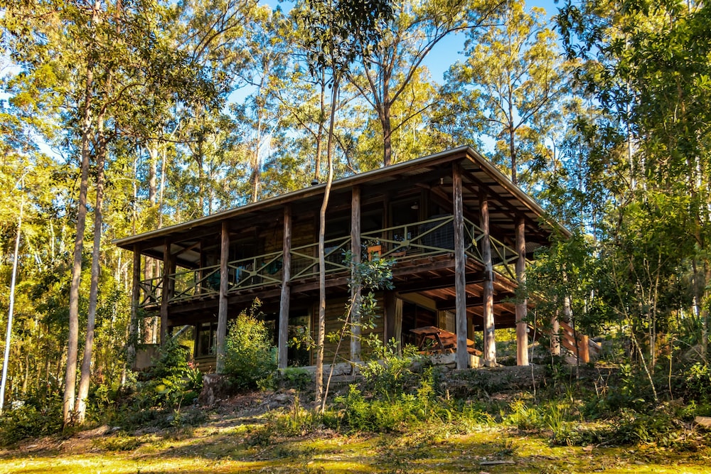 The Treehouse
