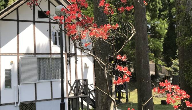 ペンション レストラン 異人館 口コミ 部屋写真 料金 お得情報 エクスペディア ペンション レストラン 異人館 口コミ 部屋写真 料金 お得情報 エクスペディア
