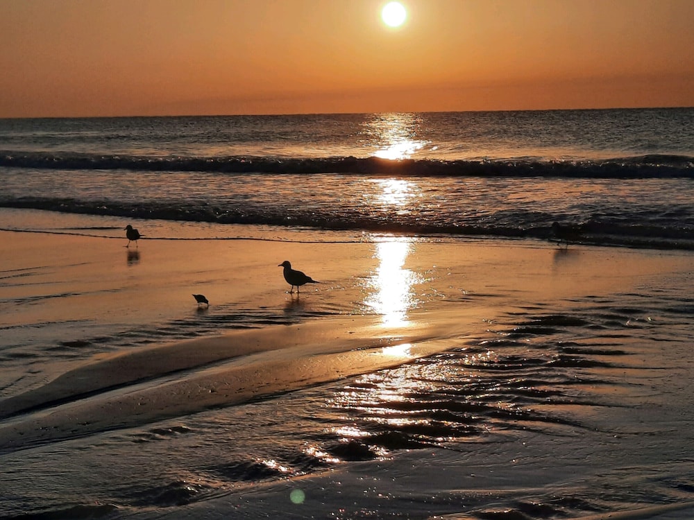 Almost Heaven  OCEANFRONT C Free WIFI Toes In The Sand Directly on BEACH Pets OK