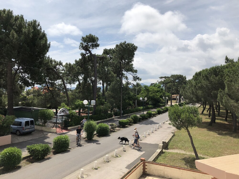 Hôtel Plage Des Pins Argeles Sur Mer Fra Lastminuteconz