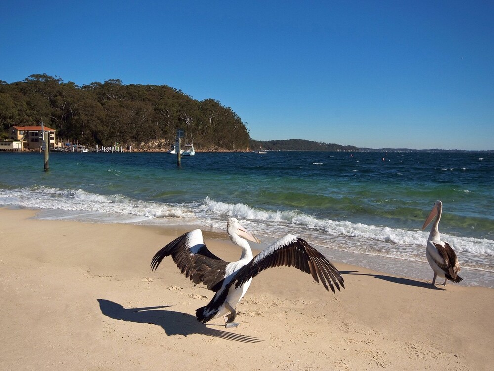 Promenade, Unit 10/8 Intrepid Close