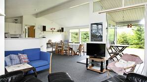 Fernseher, Stereoanlage