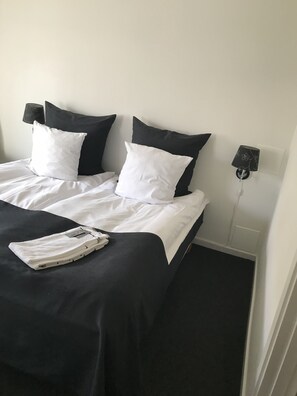 Double Room (Regular or Family) | Iron/ironing board, free WiFi, bed sheets